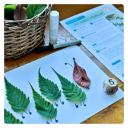 Leaf Number Caterpillars