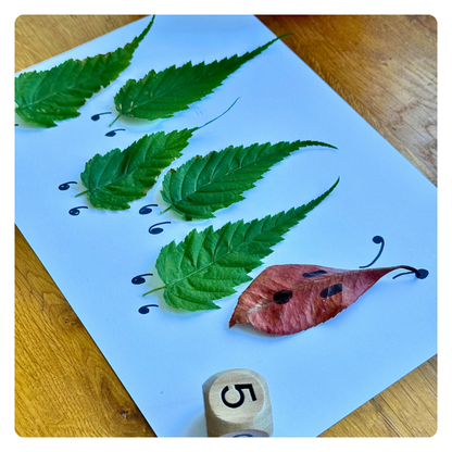 Leaf Number Caterpillars