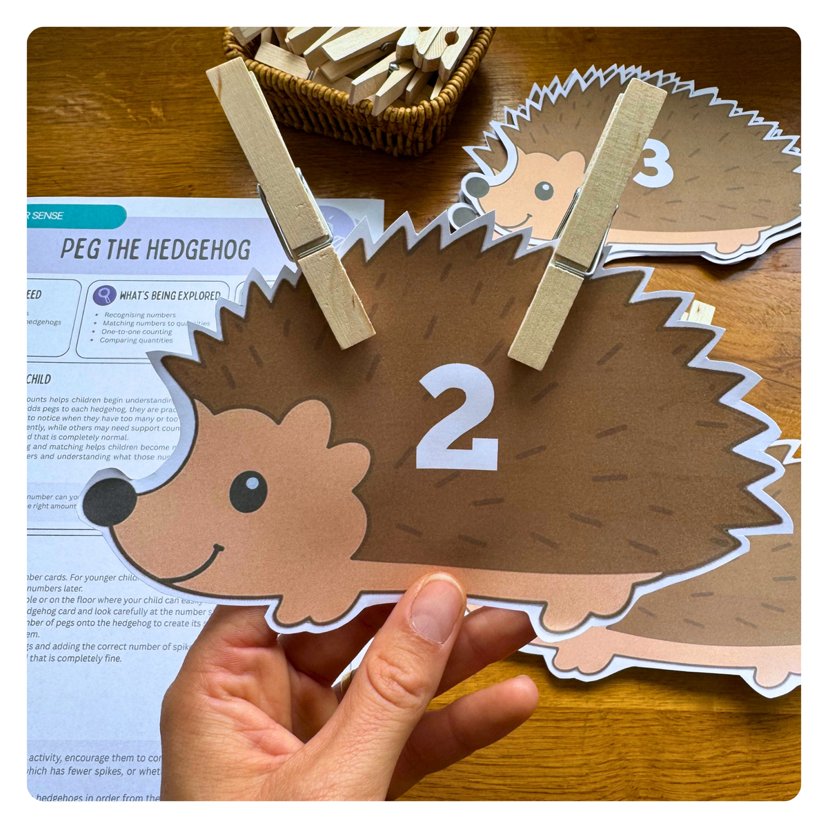 Peg the Hedgehog