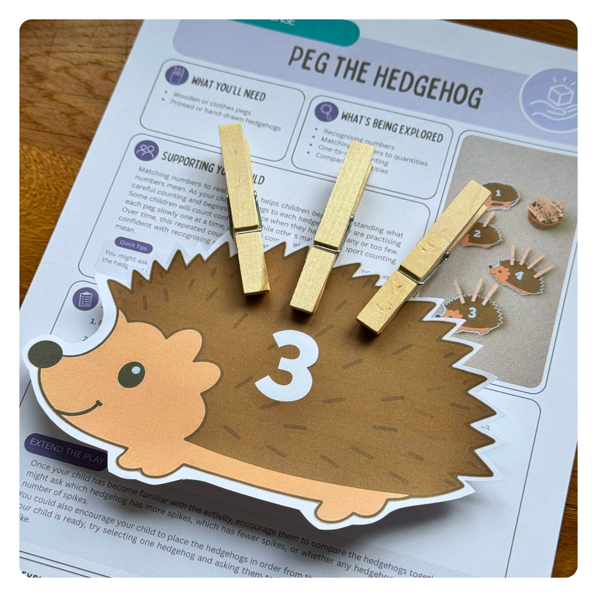 Peg the Hedgehog