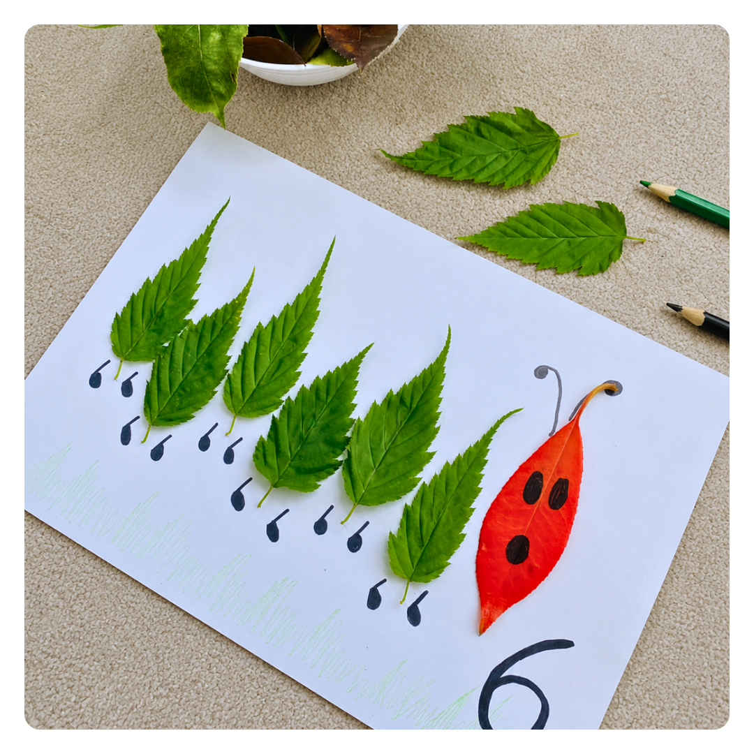 Leaf Number Caterpillars