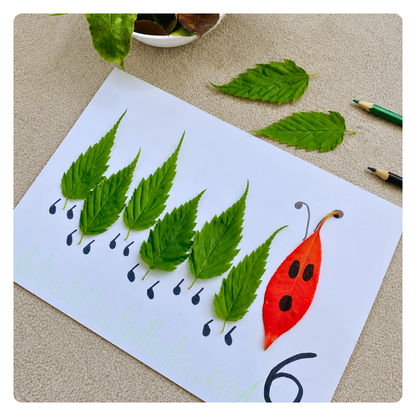 Leaf Number Caterpillars